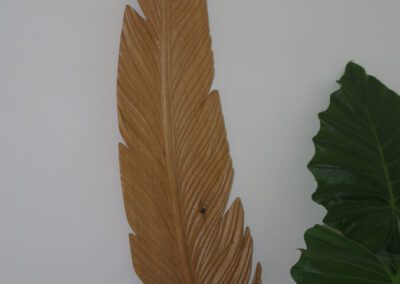 Plume
